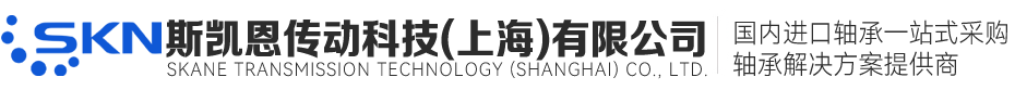 斯凱恩傳動科技（上海）有限公司